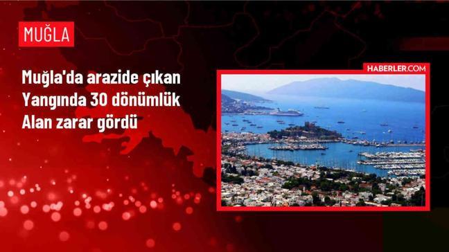 Muğla Seydikemer'de çıkan yangın söndürüldü
