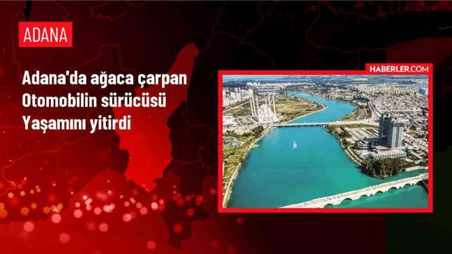 Ceyhan'da ağaca çarpan otomobilin sürücüsü hayatını kaybetti