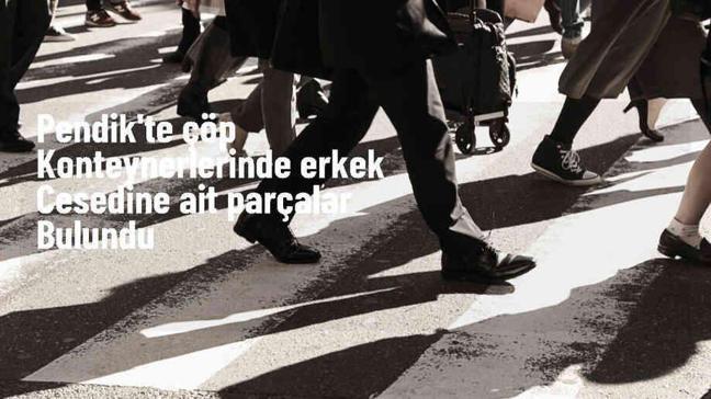 Pendik'te Çöp Konteynerlerinde Parçalanmış Ceset Bulundu