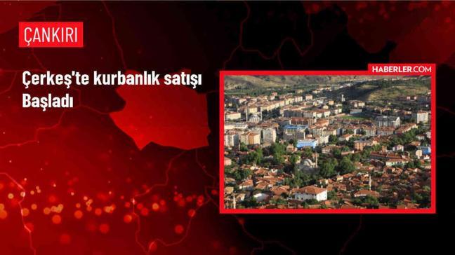 Çerkeş'te Kurbanlık Satışı Başladı