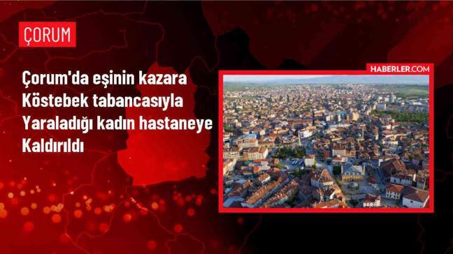 Köstebek Tabancasıyla Yaralanan Kadın Hastaneye Kaldırıldı