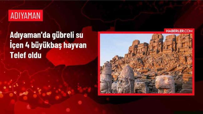 Besni'de Gübre Tankındaki Su İçen Hayvanlar Telef Oldu