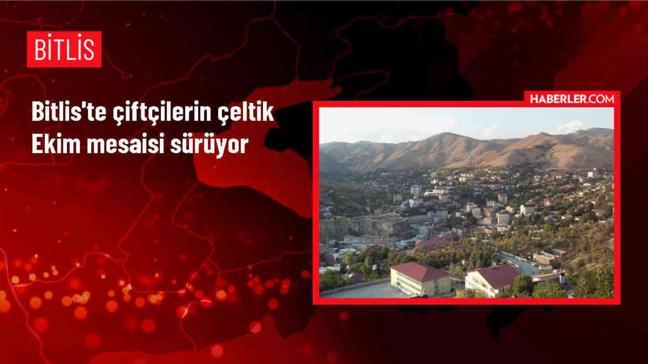 Bitlis Çeltikli köyünde çiftçiler çeltik ekimine devam ediyor