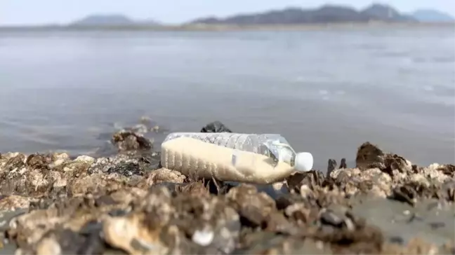 Güney Koreli aktivist, Kuzey Kore'ye pirinç dolu plastik şişeler gönderiyor