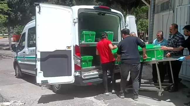 Gaziantep'te Borç Para İsteyen Şahıs, Dayısını Öldürdü