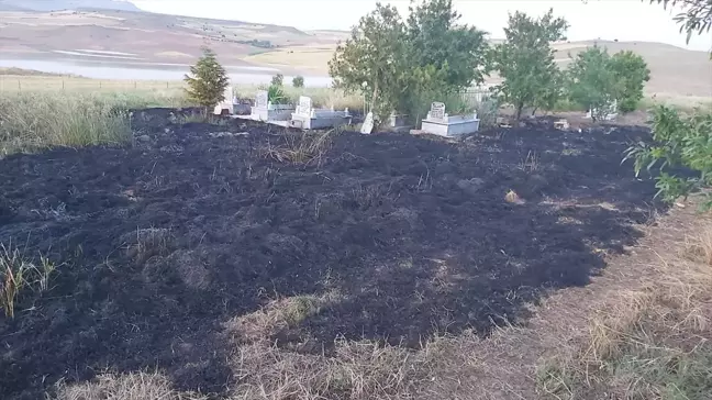 Tunceli'de mezarlık alanında çıkan yangın söndürüldü