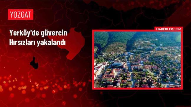 Yozgat'ta Güvercin Hırsızlığı Şüphelileri Yakalandı