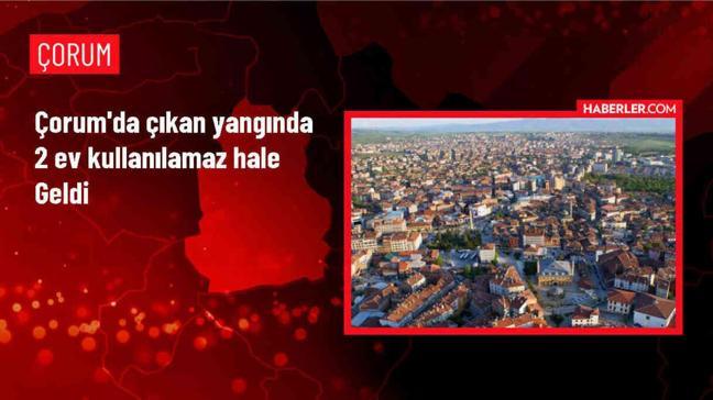 Çorum'un Dodurga ilçesinde çıkan yangında 2 ev ile 1 samanlık zarar gördü