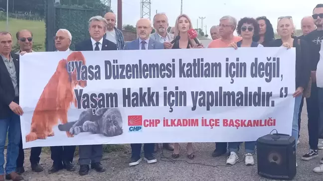 CHP, Hayvan Hakları Kanun Tasarısını Protesto Etti