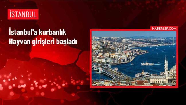 İstanbul'a kurbanlık hayvan girişleri başladı