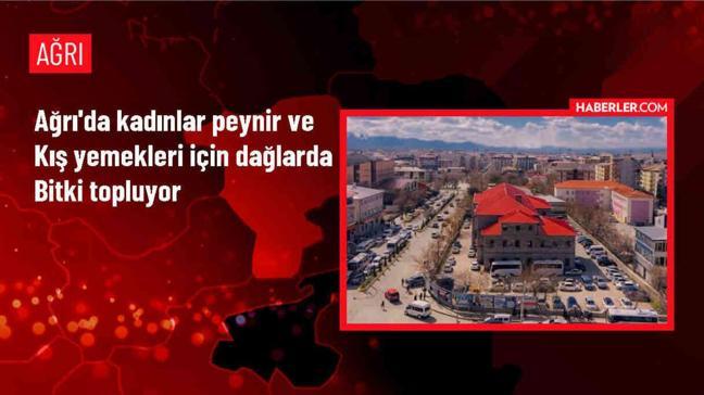 Ağrı'da Kadınlar Doğadan Bitki Topluyor