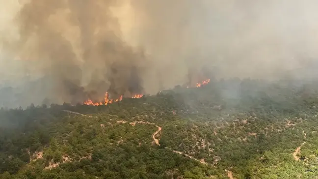 Çanakkale Valiliği'nden Orman Yangınlarına Karşı Uyarı