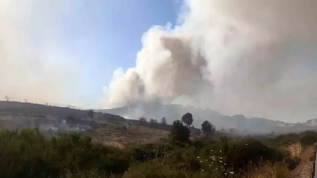 Foça'daki Çöplük Yangınında Şüpheliler Yakalandı