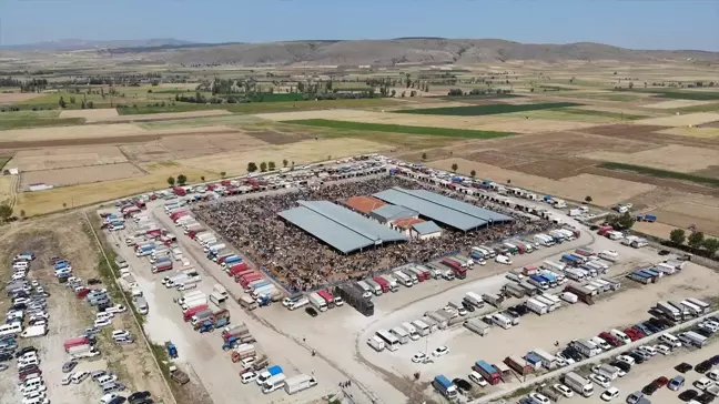 Afyonkarahisar'da Kurban Bayramı öncesi hayvan satışları denetleniyor