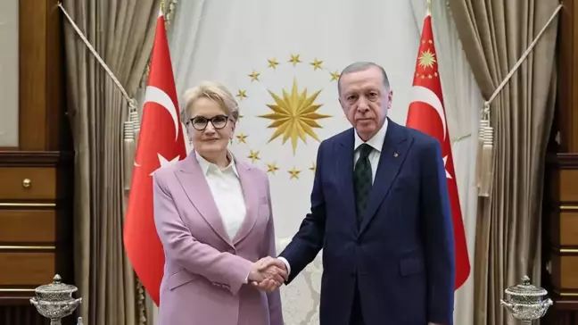 Cumhurbaşkanı Erdoğan, Meral Akşener'i kabul etti