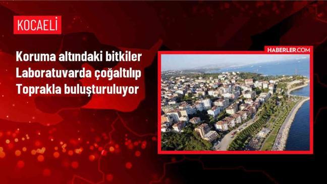 Kocaeli Üniversitesi Biyoloji Bölümü, nadir bitkileri çoğaltarak biyoçeşitliliğe katkı sağlıyor