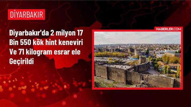 Diyarbakır'da büyük uyuşturucu operasyonu: 2 milyon kök Hint keneviri ele geçirildi