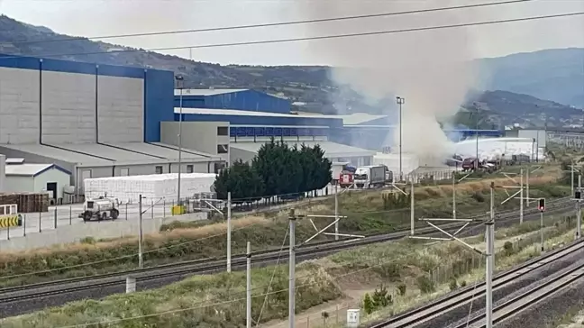 Sakarya'da kağıt fabrikasında çıkan yangın söndürüldü