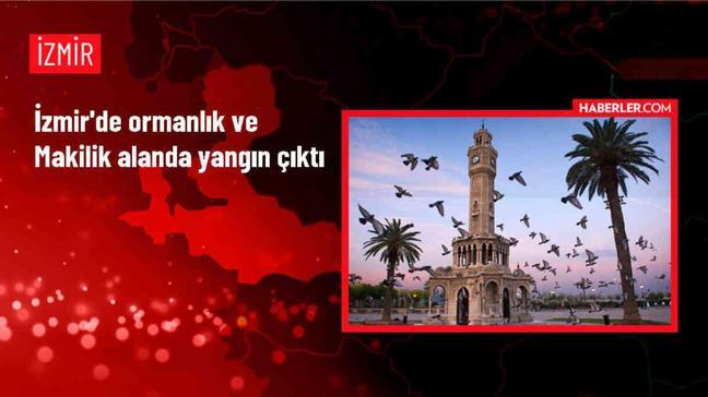 İzmir Urla'da Ormanlık ve Makilik Alanda Yangın Çıktı