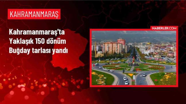 Kahramanmaraş'ta Yangında 150 Dönüm Buğday Tarlası Zarar Gördü