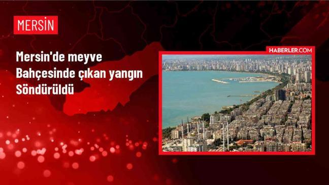 Mersin'de Meyve Bahçesinde Çıkan Yangın Hasara Yol Açtı