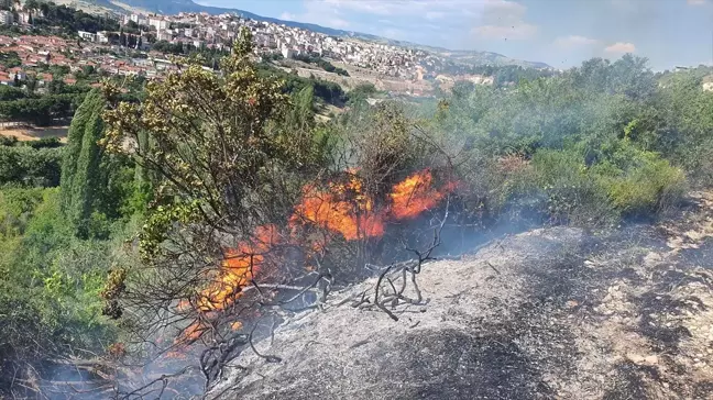 Manisa Demirci'de Tarım Arazisinde Çıkan Yangın Söndürüldü