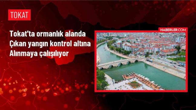 Tokat'ın Niksar ilçesinde ormanlık alanda yangın çıktı