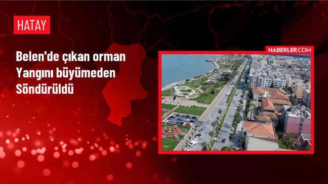 Hatay'ın Belen ilçesinde ormanlık alanda çıkan yangın büyümeden söndürüldü