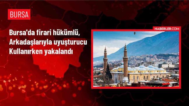 Bursa'da uyuşturucu operasyonu: 8 şüpheli gözaltına alındı