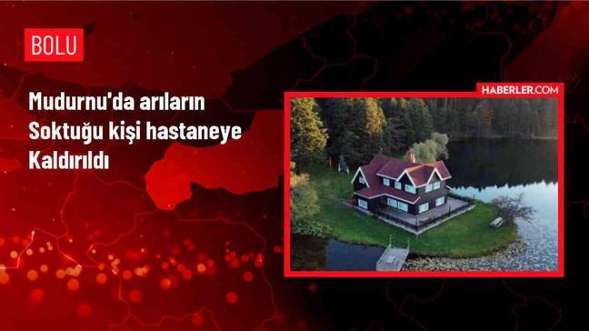 Arıların Saldırısına Uğrayan Yaşlı Adam Hastaneye Kaldırıldı