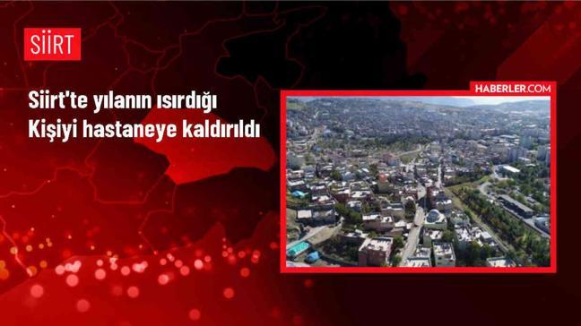 Siirt'te tarlada çalışan kişi yılan tarafından ısırıldı