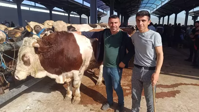 Niğde'de Kurban Bayramı öncesi hayvan pazarında hareketlilik başladı