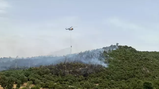 Balıkesir İvrindi'de Orman Yangını Kontrol Altına Alınmaya Çalışılıyor