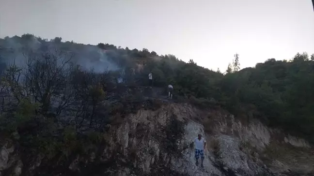 Denizli'nin Buldan ilçesinde çıkan yangın söndürüldü