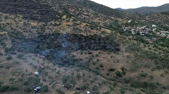 İzmir'in Bayındır ilçesindeki zeytinlik alanda çıkan yangın söndürüldü