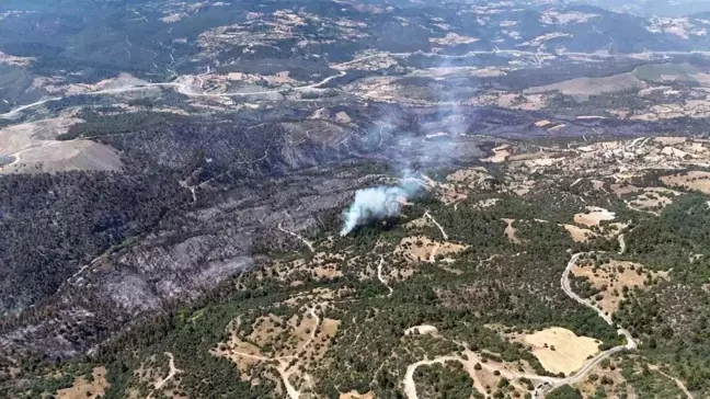 Bursa'da Büyükorhan ilçesinde çıkan yangında 250 hektarlık alan etkilendi