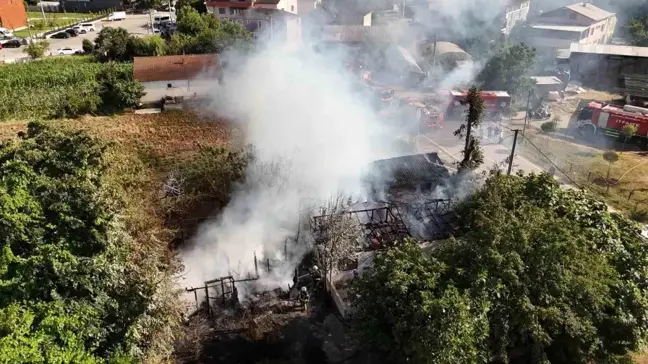 Kocaeli Başiskele'de çıkan yangın ağaçlık alana sıçradı