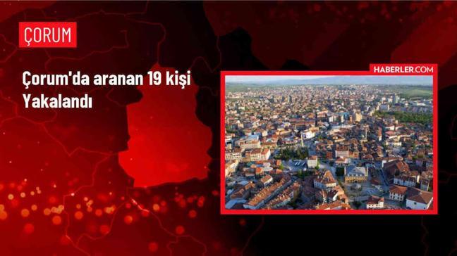 Çorum'da 19 kişi yakalandı