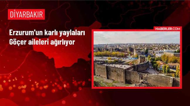 Erzurum'da Göçer Aileler Hayvanlarını Otlatıyor