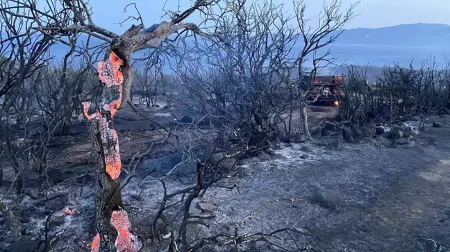 Çanakkale'de çıkan orman yangını kontrol altına alındı