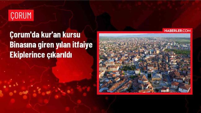 Çorum'un Alaca ilçesinde Kur'an kursu binasına giren yılan itfaiye ekiplerince çıkarıldı