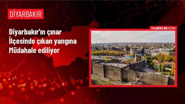 Diyarbakır'ın Çınar ilçesinde yaylada çıkan yangın kontrol altına alınıyor