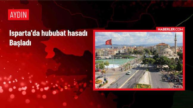 Isparta'da Hububat Hasadı Başladı