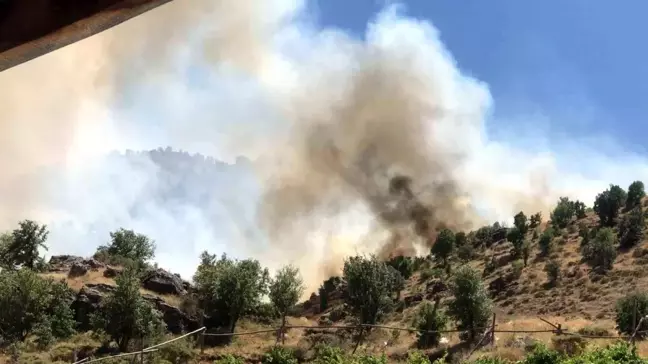 Adıyaman'da ormanlık alanda çıkan örtü yangını kontrol altına alındı