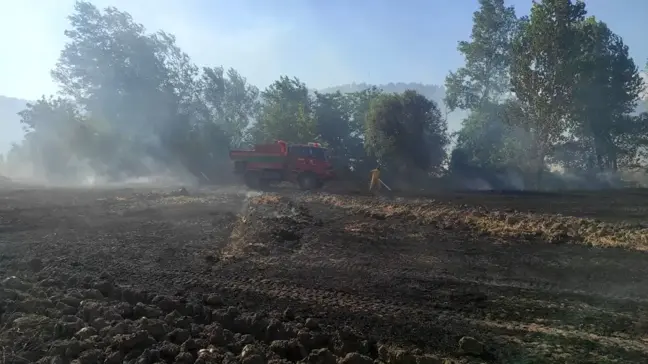 Bilecik'te 20 dönümlük buğday tarlası yangında tamamen yandı