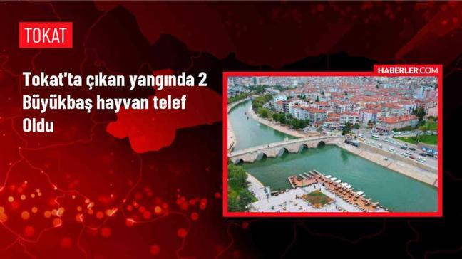 Tokat'ın Zile ilçesinde çıkan yangında 2 büyükbaş hayvan telef oldu