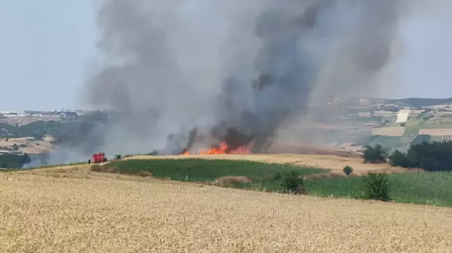 İnegöl'de Buğday Tarlasında Yangın Çıktı