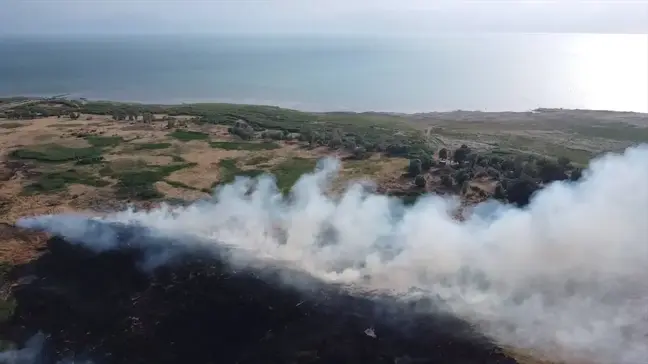 Isparta'da sazlık alanda çıkan yangına müdahale ediliyor