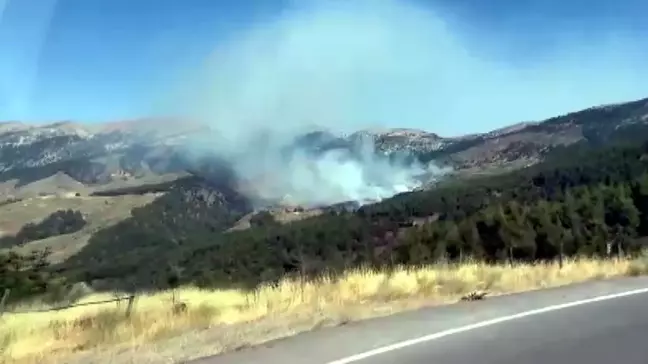 Kahramanmaraş'ta Orman Yangını Çıktı