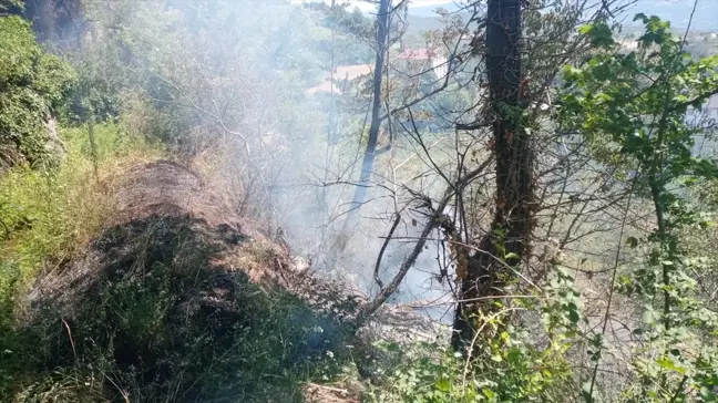 Tokat'ın Niksar ilçesinde otluk alanda çıkan yangın söndürüldü